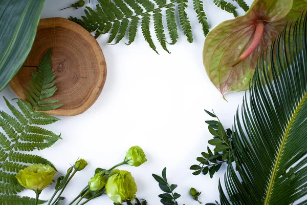 緑の熱帯の葉 白い背景に木製の平らなレイアウト 自然概念 ストック画像