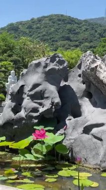 Da Nang, Vietnam 'ın tepelerindeki Buda Hanım Dünya Turistleri İçin Turizm Özellikleri. Yüksek kalite 4k görüntü