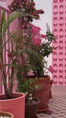 Her iki tarafında metal korkuluklar olan pembe yaya geçidi. Yüksek kalite 4k görüntü