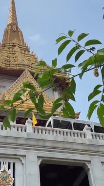 Bangkok Tayland ve kilise altını Wat Traimit, Altın Buda Tapınağı. Yüksek kalite 4k görüntü