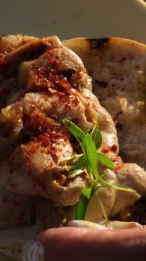 Lezzetli Meksika tacoları. Ev yapımı Amerikan Yumuşak Kabuklu Biftek Tacoları. Meksika Burrito 'su. Tortilla Fast Food. Meksika usulü Carnitas Tacos Fajitas. Amerikan Taco Salsa Mısır Tortilla Carne .