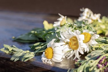 Papatyalar, beyaz çiçekler, komünyon çelengi üzerinde çiçekler. Yaz Gündönümü Yaz Ortası Günüdür. Yaz Ortası Gecesi.