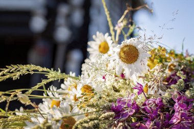 Papatyalar, beyaz çiçekler, komünyon çelengi üzerinde çiçekler. Yaz Gündönümü Yaz Ortası Günüdür. Yaz Ortası Gecesi.