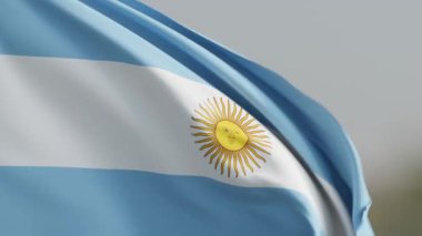 Arjantin bayrağının dinamik yakın çekimi, Mayıs 'ın ikonik güneşiyle süslenmiş, tarafsız bir zemin üzerinde zarif bir şekilde sallanarak ulusal gurur ve özgürlüğü resmediyor.