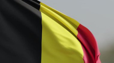 Sallanan Belçika bayrağı, ulusal gurur ve egemenliğin güçlü bir sembolü, belirgin siyah, sarı ve kırmızı dikey çizgileri rüzgarda zarifçe hareket ediyor.