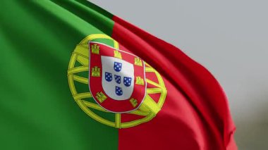 Benzersiz armiler küresi ve kalkan amblemi ile yeşil ve kırmızı renkler gösteren canlı Portekiz bayrağı yumuşak bir arkaplana hafifçe sallanıyor.