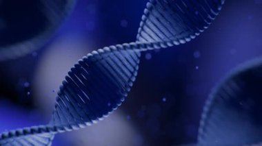 Mavi DNA çifte sarmalının dinamik 3D animasyonu titreşen parçacıkların arasında yavaşça dönüyor, moleküler biyoloji ve genetik araştırmaları gösteriyor.