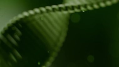 Canlı, yeşil bir DNA 'yı görselleştirmek çift sarmallı, genetik araştırma, biyolojik yenilik ve moleküler bilimin kavramlarını vurguluyor.