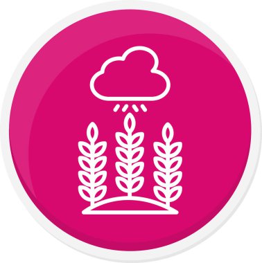 Buğday simgesi vektör illüstrasyonu