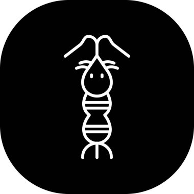 Bir tavşanın vektör gösterimi