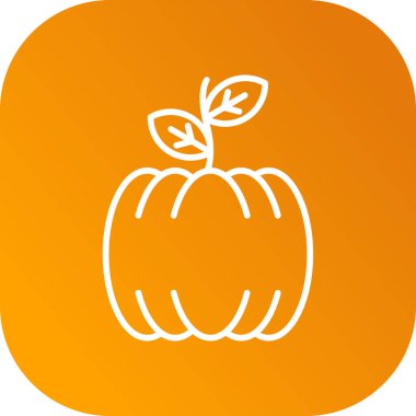 kabak düz simgesi, vektör, illüstrasyon