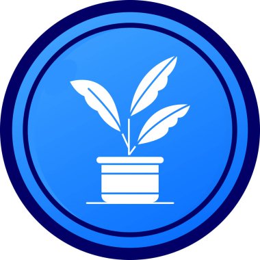 Yaprakları daire simgesinde olan bitki, basit biçim