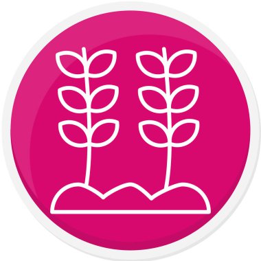 Buğday. Web simgesi basit illüstrasyon