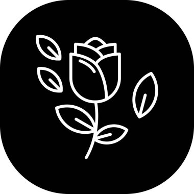 Vektör gül resimleme