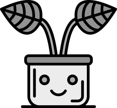 Şirin küçük kaktüs bitkisi