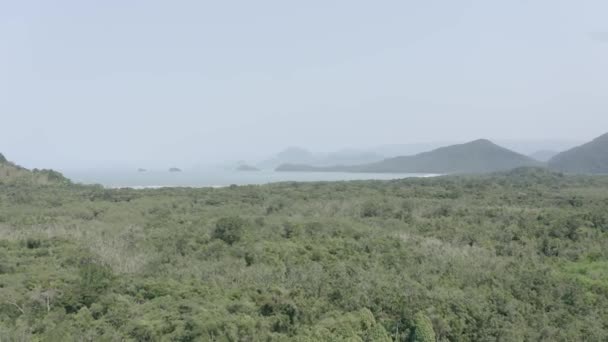 Forêt Dans Parc National Serra Mar Noyau Picinguaba Ubatuba Sao — Video