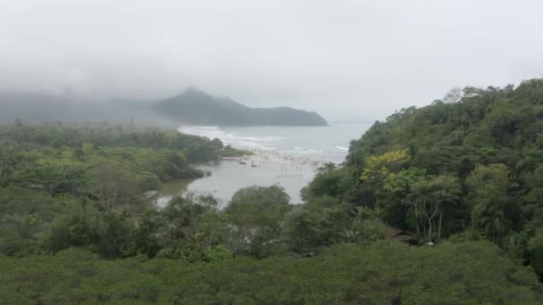 Bosque Nativo Playa Itamambuca Ubatuba Sao Paulo Brasil Vuelo Hacia — Vídeos de Stock