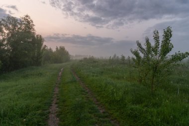 Yazın kırsal kesimde sabah