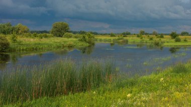 Yazın nehir ve yeşil tarla