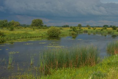 Nehir manzarası, yaz mevsimi, bulutlar ve gökyüzü