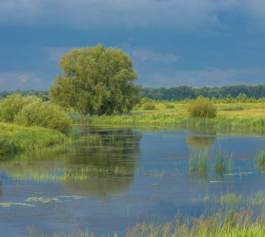 Gölde bir yaz günü