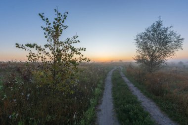 Kırsalda sis olan sonbahar sabahı manzarası