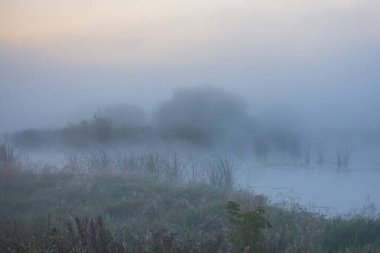 Nehirde sisli bir sabah