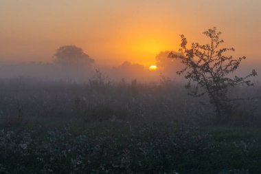 Tarlanın üzerinde güzel bir gün batımı