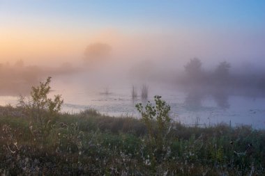 Sabahları nehir olan güzel bir manzara.