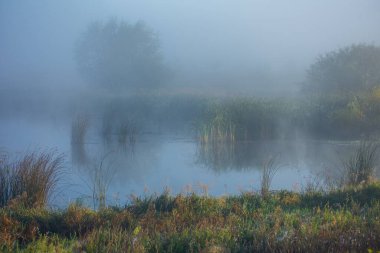 Nehirde sisli bir sabah