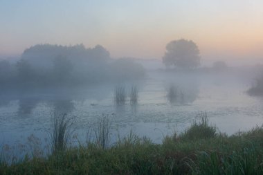 Göldeki sisli sabah manzarası.