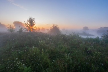 Ormandaki siste gün doğumu