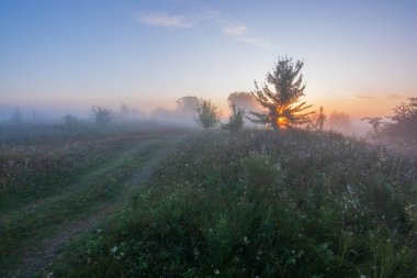 Sabah sisli gün doğumu.