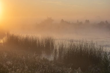 Güzel sabah gündoğumu