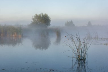 Sabah nehir kıyısında güneş doğuyor.