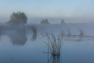 Sabah gölü olan güzel bir manzara.
