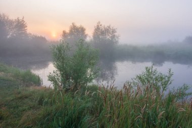 Gölün üzerinde sisli güzel bir gün doğumu