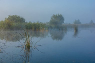 sabah peyzaj göl kenarında