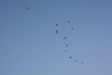 Gökyüzünde bir grup kuş