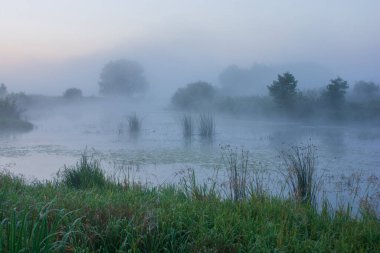 Nehirde sabah sisi. Sabah sis yükseliyor..