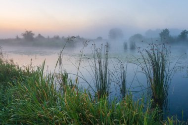 sabah sis orman göle