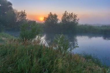Nehirde yaz manzarası