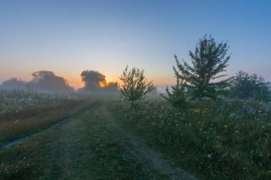 Bir çayırın üzerinde sabah güneşi doğuyor