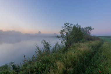 Nehrin üzerinde sabah sisi.