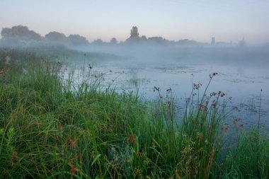 Gölün üzerindeki güzel sabah manzarası