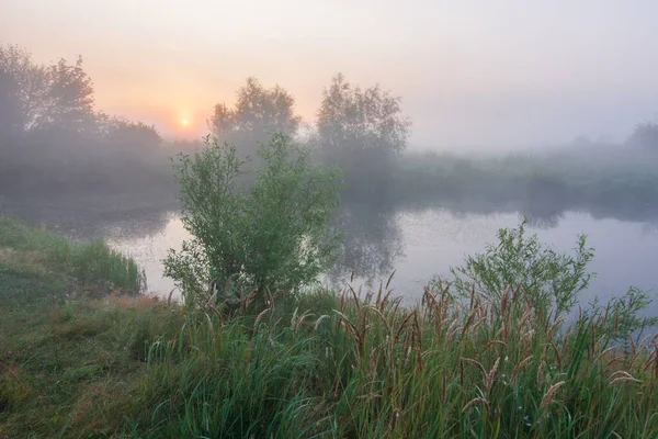 Gölün üzerinde sisli güzel bir gün doğumu
