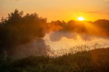 Nehrin üzerinde sabah sisi
