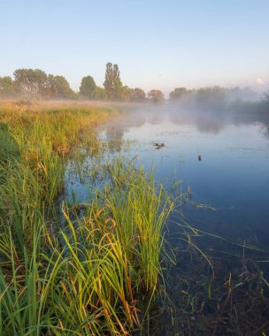 Gölette sabah sisi. Güneş gölün su yüzeyine yansıyor..