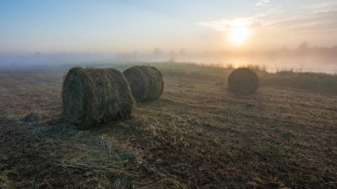 Samanlık bir alanda