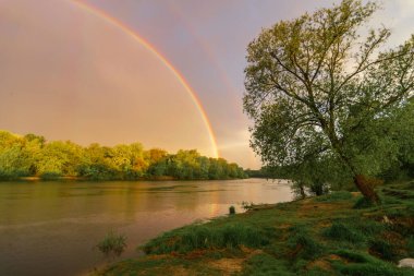 Ağaçlar ve gökkuşağı olan bir nehirde gökkuşağı